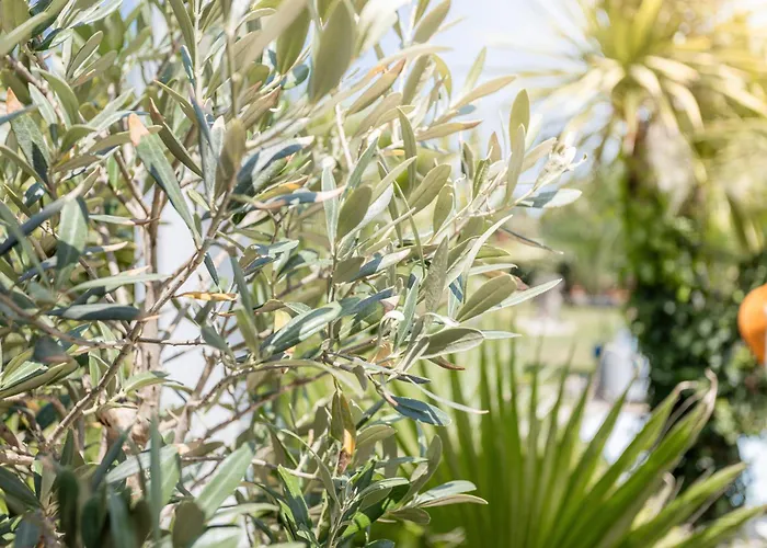 Lointaines Escapades Bed and Breakfast Περπινιάν